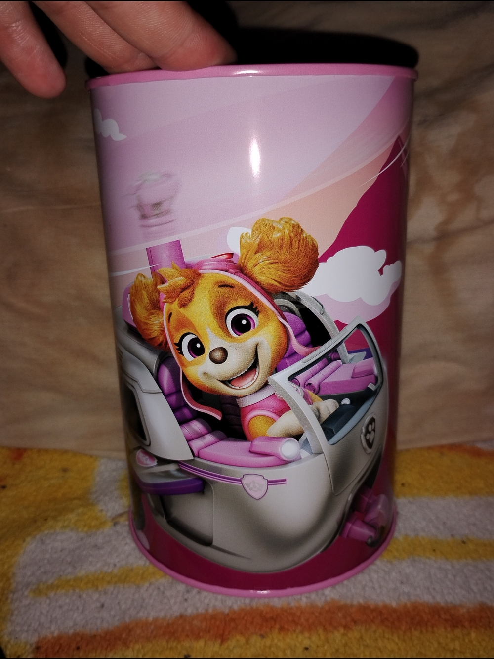 Paw Patrol Skye Piggy Bank